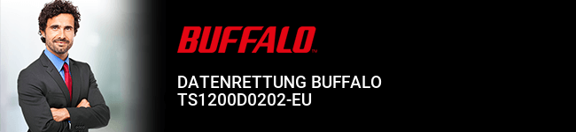 Datenrettung Buffalo TS1200D0202-EU